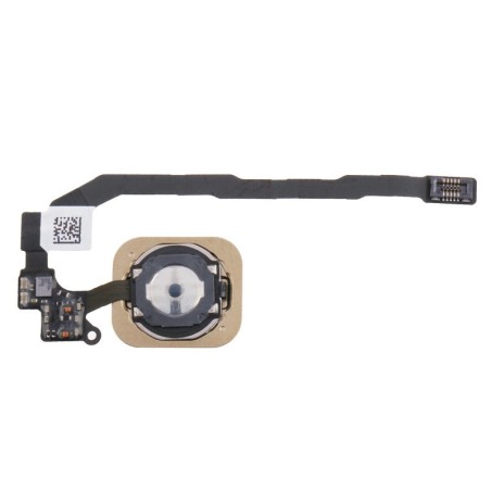 Flat Tasto Home Bianco Oro per Apple iPhone 5S Ricambio